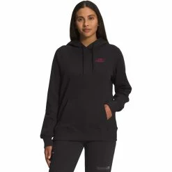 Best Sale 👏 The North Face Graphic Injection Hoodie 🥰
