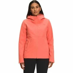 Budget ❤️ The North Face Shelbe Raschel Hoodie 👏