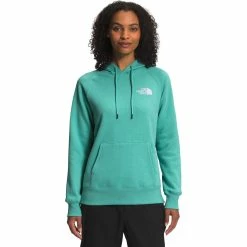 Budget 😉 The North Face Geo NSE Hoodie 🔔